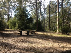 Sydney to Melbourne-021